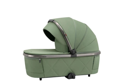 Дитяча коляска 2в1 Carrello Omega Perfect Green
