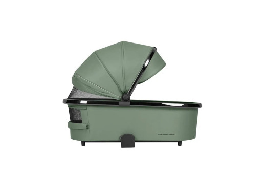 Дитяча коляска 2в1 Carrello Ultimo Air Fern Green