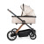 Beige Gold (1322-2424) 