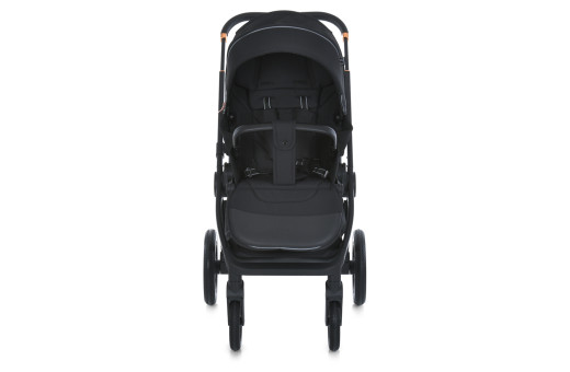Коляска універсальна 2в1 ME 1100-1 ERA Black Ink